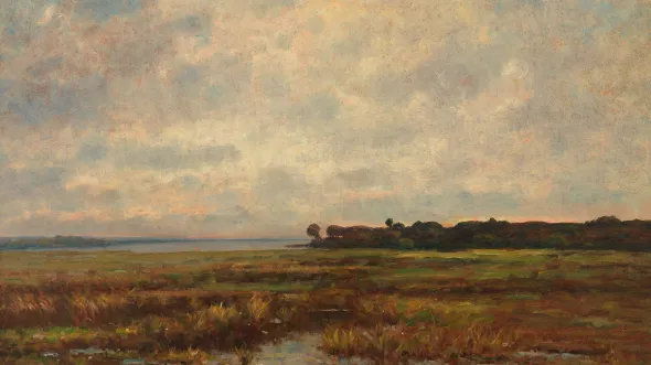 Potomac Marsh by Max Weyl