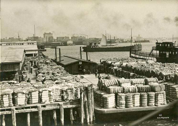 Cotton bales, Norfolk (VHS accession number: 2008.1.55) Early 20th century. Black and white photographic print of cotton bales ready for foreign shipment in Norfolk, Virginia. Shows a harbor scene with docks and boats. 12.70 cm x 17.15 cm Cotton bales, Norfolk
