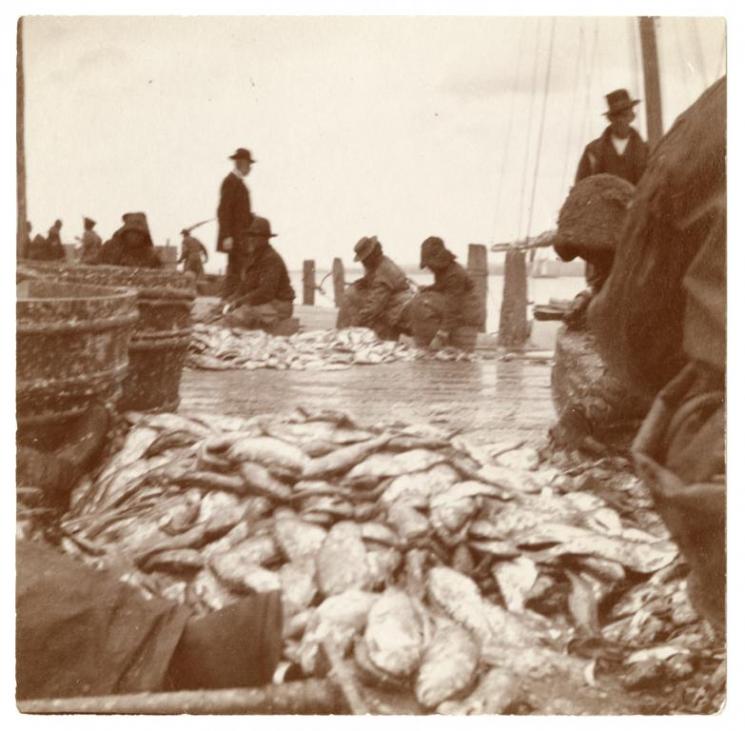 Fish (VHS accession number: 2000.92.450). Photographic print showing various people working on a dock. Most are African Americans. There is a large pile of fish in the foreground of the photo. Fish