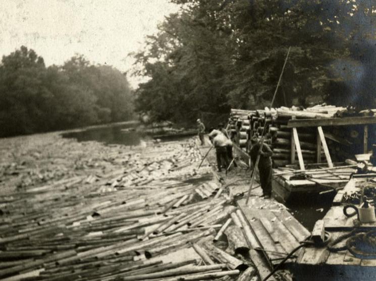 Lumbering, western Virginia, c. 1922 (VHS accession number: 2002.350.1). Photographed and captioned by Herman Work, of Tyrone, Pa., who was employed by the Tyrone mill of the West Virginia Pulp and Paper Company, in the wood department. Image quality is very good. Mr. Work used a roll-film camera and probably developed and printed his own work. Lumbering, western Virginia, c. 1922