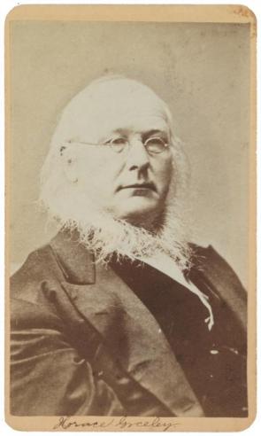 Portrait of Democratic Party candidate Horace Greeley 